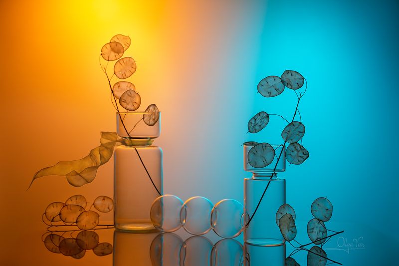 стекло, ваза, лунария Лунария и стеклоphoto preview