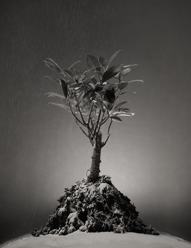 * фото превью