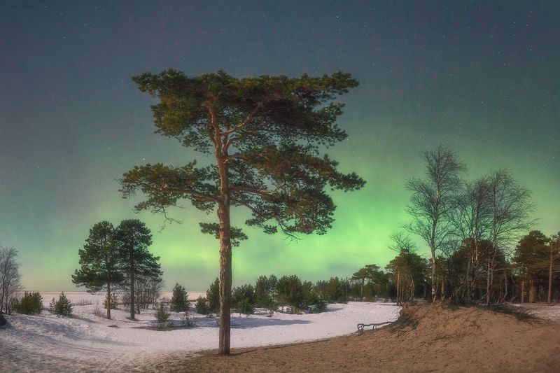 Апрельская ночьphoto preview