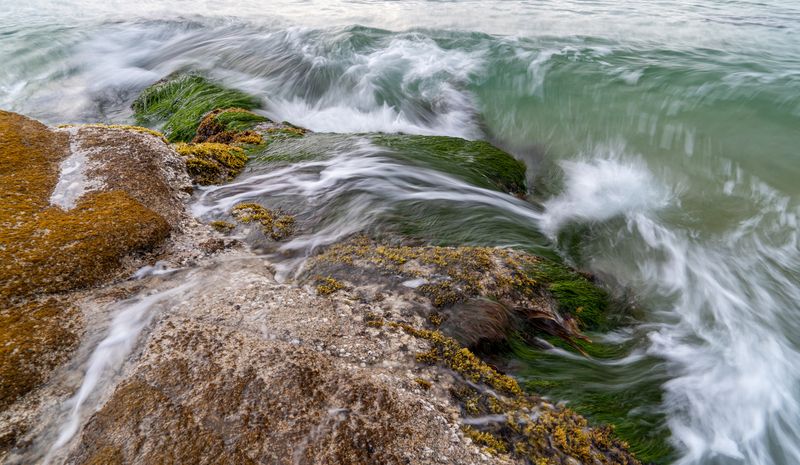 Россия, Приморский край, Японское море, Лазовский заповедник, бухта Тачингоуза, волны Море волнуется фото превью