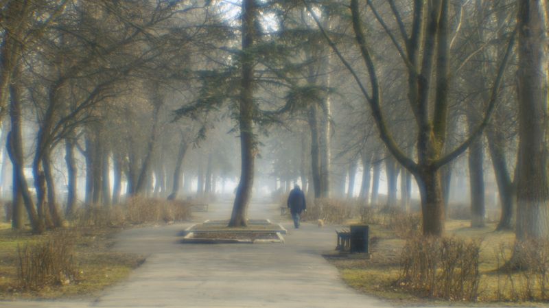 Туманы. (монокль)photo preview