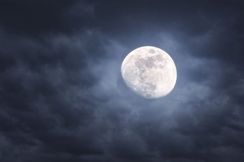 Luna фото превью