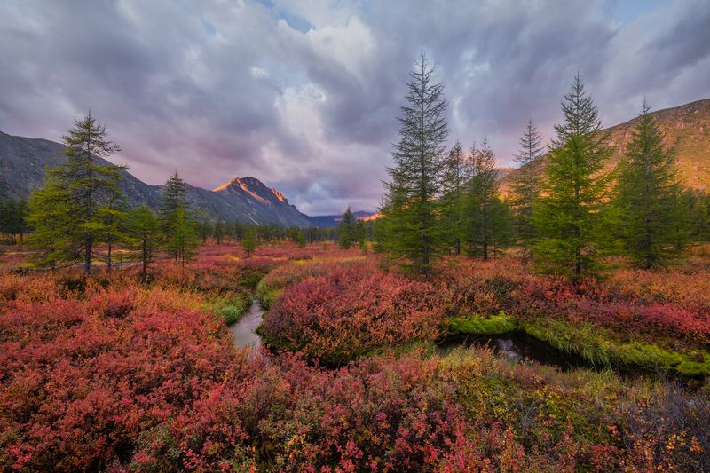 озеро джека лондона Осень....пока не Золотая...photo preview