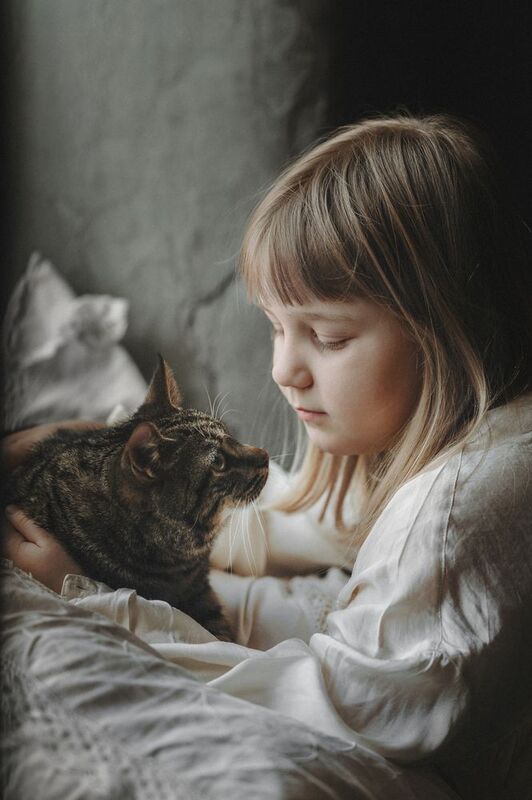 Утро photo preview