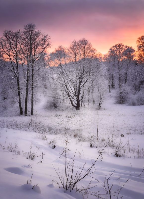 пейзаж, landscape, nature, природа, зима, winter, sunset, закат, лес, forest ***photo preview