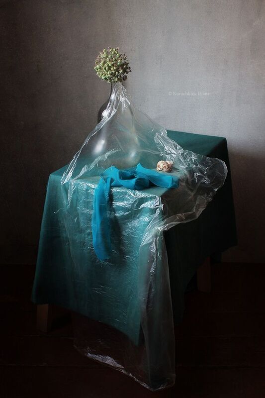 натюрморт, плёнка натюрморт с плёнкой фото превью