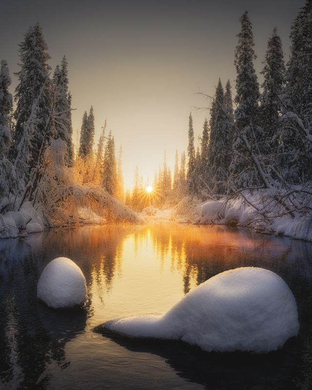 Точка с запятой фото превью