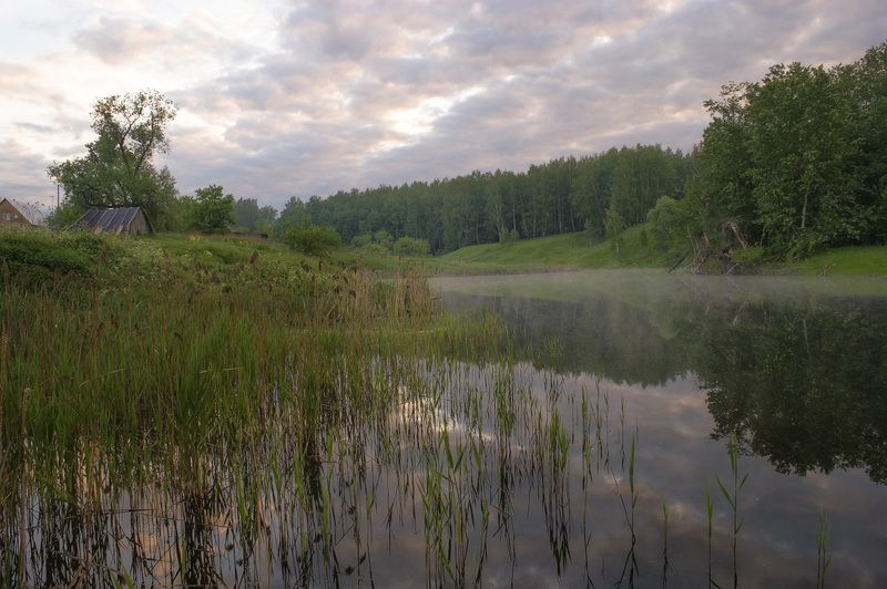 туман, пруд, рассвет На рассветеphoto preview