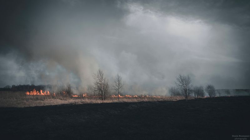 пожар, репортаж, весна Последствия...photo preview