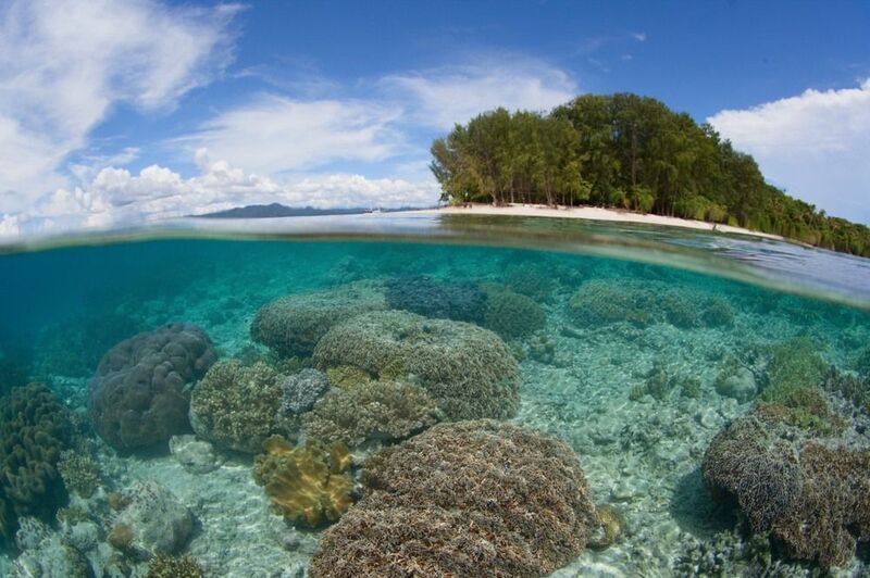 На краю землиphoto preview