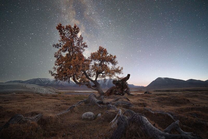 монголия, алтай, mongolia, ночь, ночное фото Под мириадами звезд фото превью