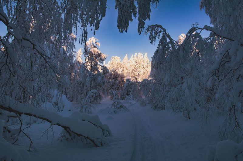 Дорога к светуphoto preview