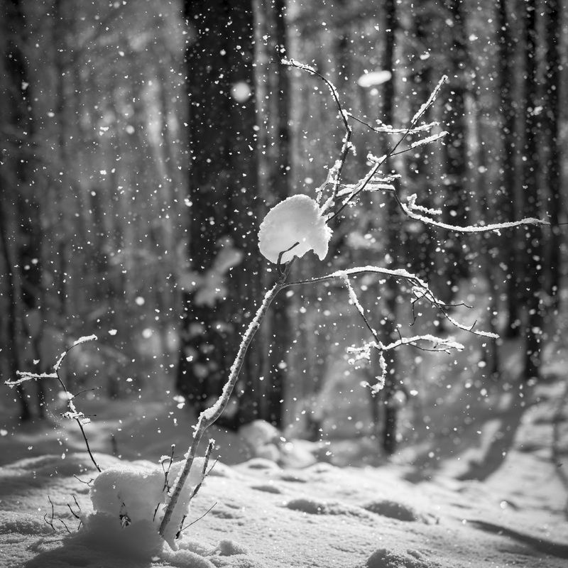 снег, образ, солнце, позитив ---photo preview