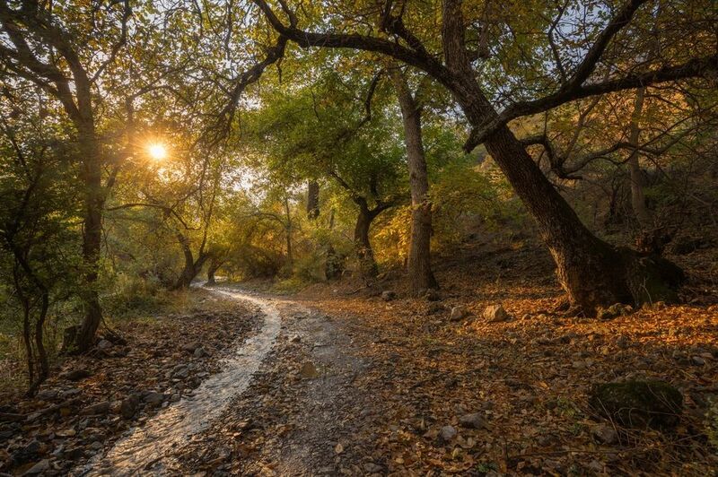 uzbekistan. nanay village. Дорога в осень.photo preview