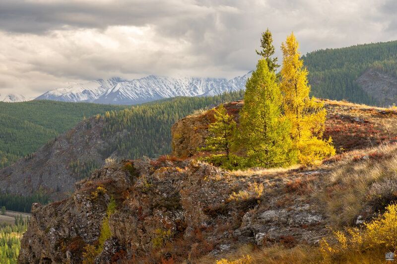 алтай Краски осениphoto preview