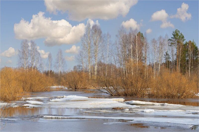 Ледоход на речкеphoto preview