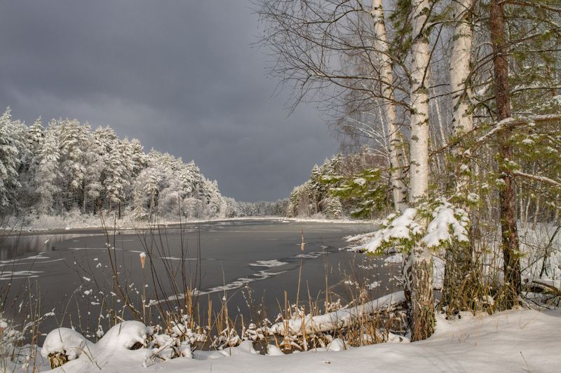 апрель утро снегопад суходол серково Солнечное утроphoto preview
