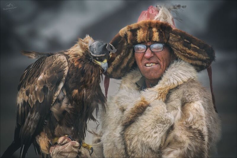 беркут, беркутчи, монголия, mongolia, алтай, фототур на алтай и в монголию, фототуры 2025, phototravel.pro, golden eagle festival, sagsay golden eagle festival, фестиваль охотников с беркутами, фестиваль беркутчи Беркутчиphoto preview