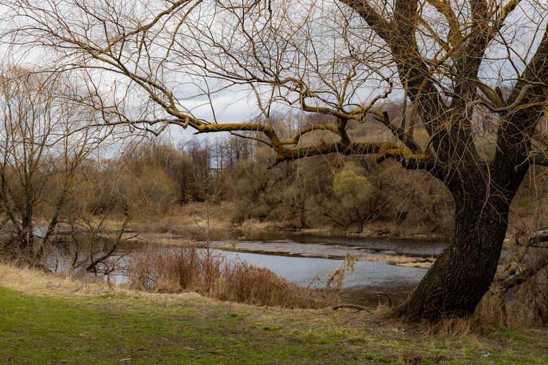 пейзаж К весне готовится пространствоphoto preview