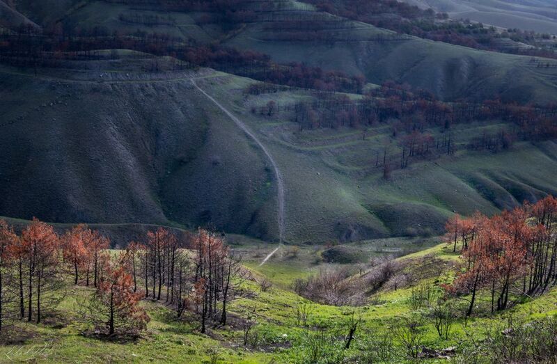 Борьба за жизньphoto preview