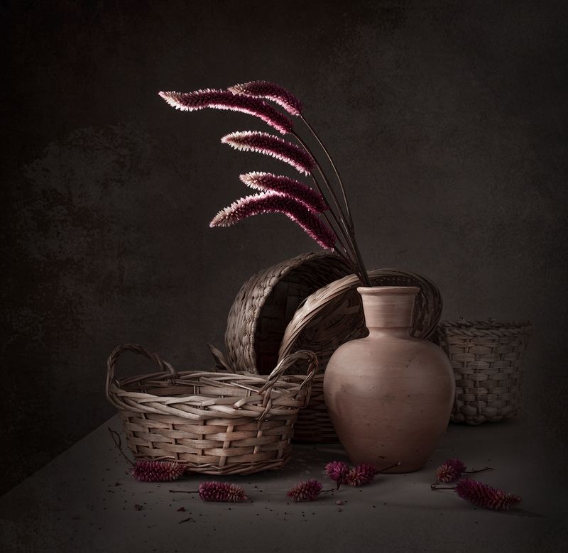 Still life, light, shadows, flower The light and the solitudephoto preview