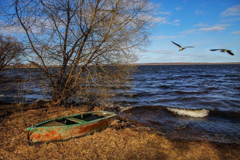 лодка, озеро, водапейзаж, деревья, облака Старая лодка фото превью
