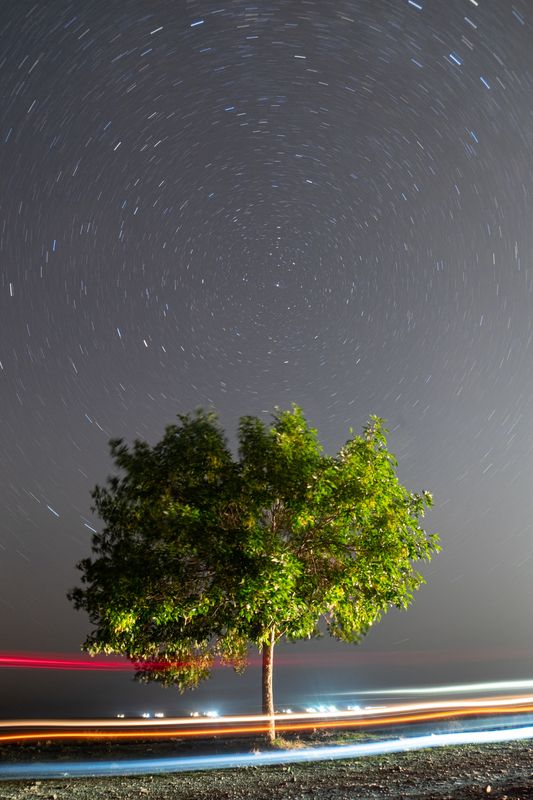 дерево, астрофото, длинная выдержка Ночной хранительphoto preview
