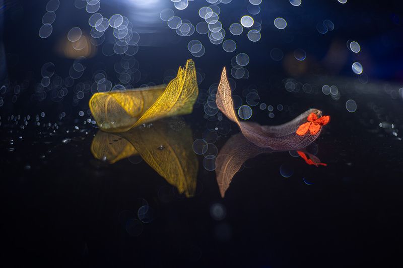 close-up Despair фото превью