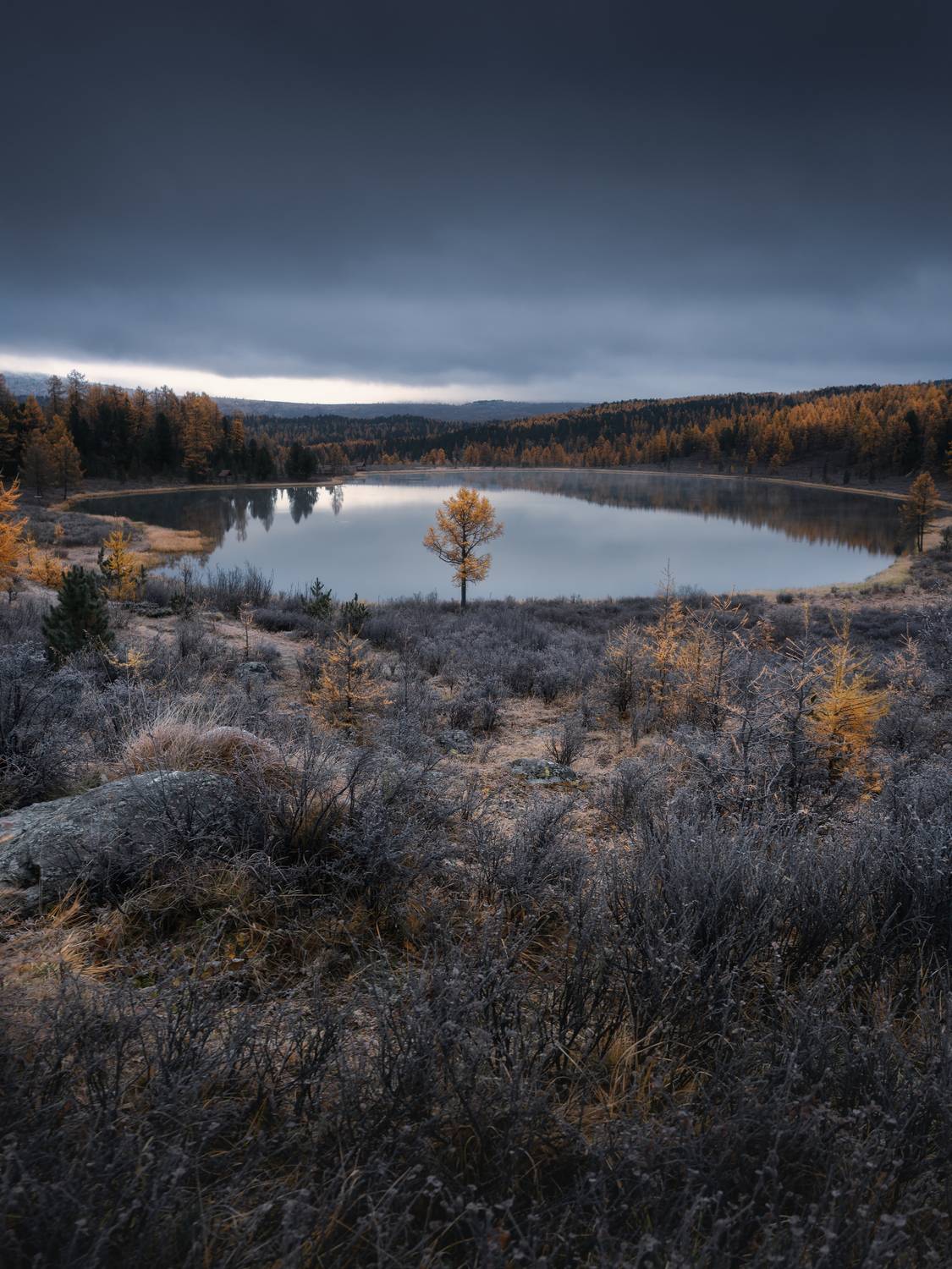 , Мозжухин Максим