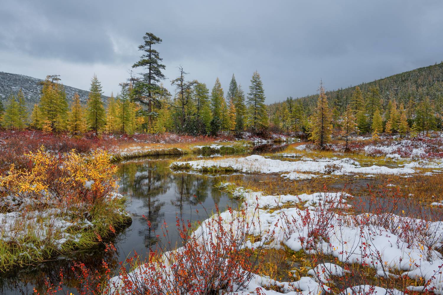 озеро, джека, лондона, Евдокимов Максим