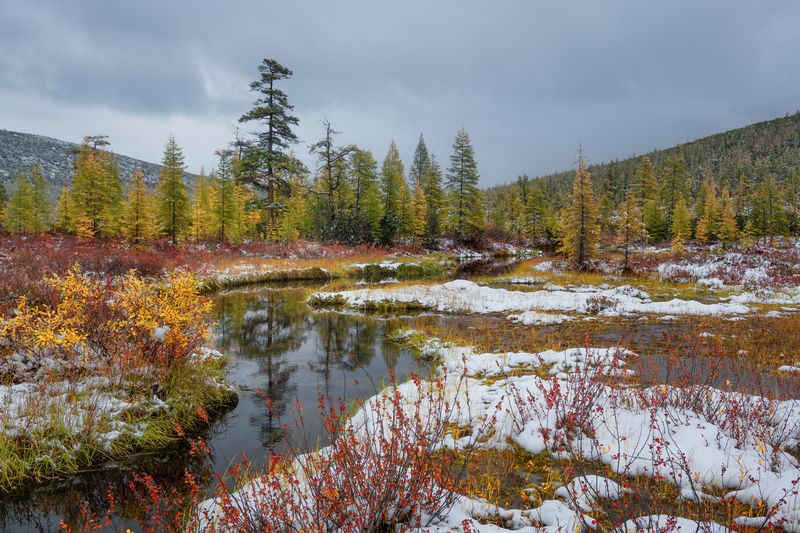 озеро, джека, лондона Осенний ручей..photo preview