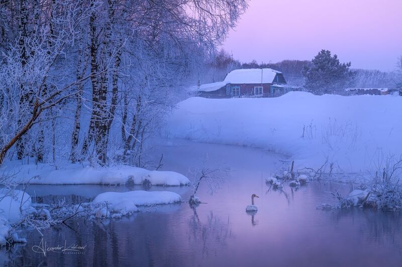 алтай,пейзаж,рассвет,утро Алтайское утро... фото превью