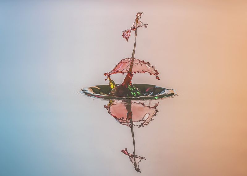 drops, macro, colors,liquid, milk, color_water,macro_photo,water Colors dropsphoto preview