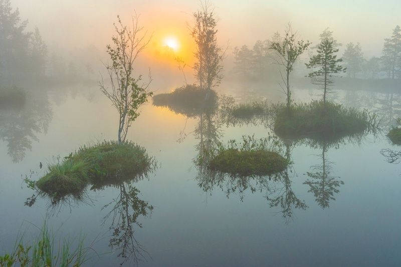 Хороводphoto preview