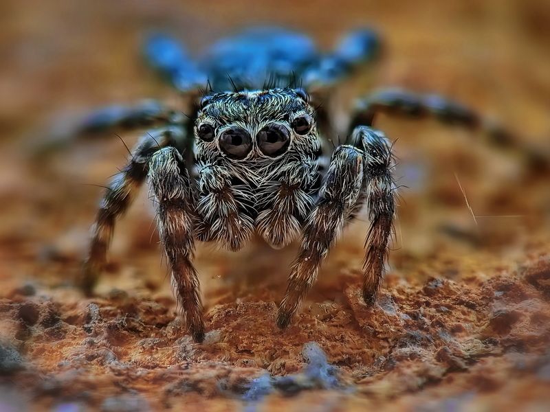 Задумалсяphoto preview