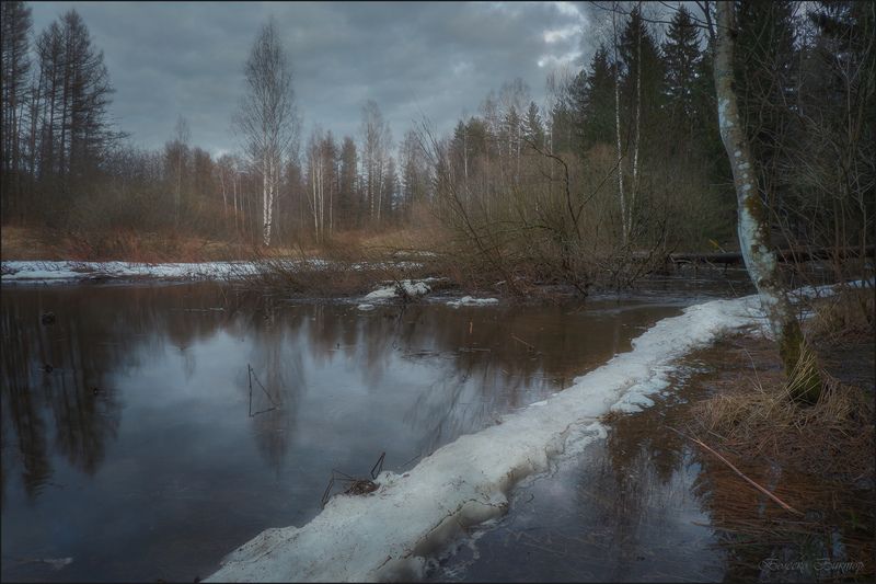 Весенними тропамиphoto preview
