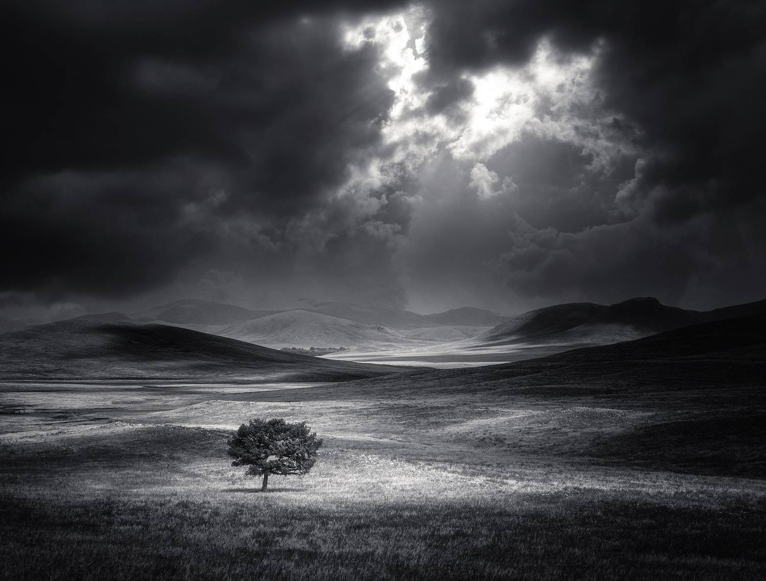 , Татьяна Бирюкова