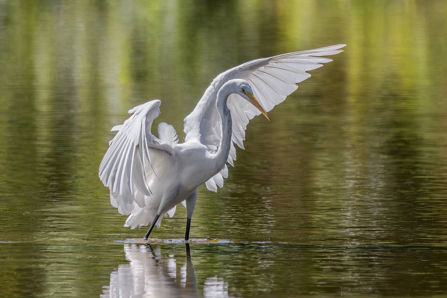 ***. Автор: Leonid Dyachenko , Leonid Dyachenko