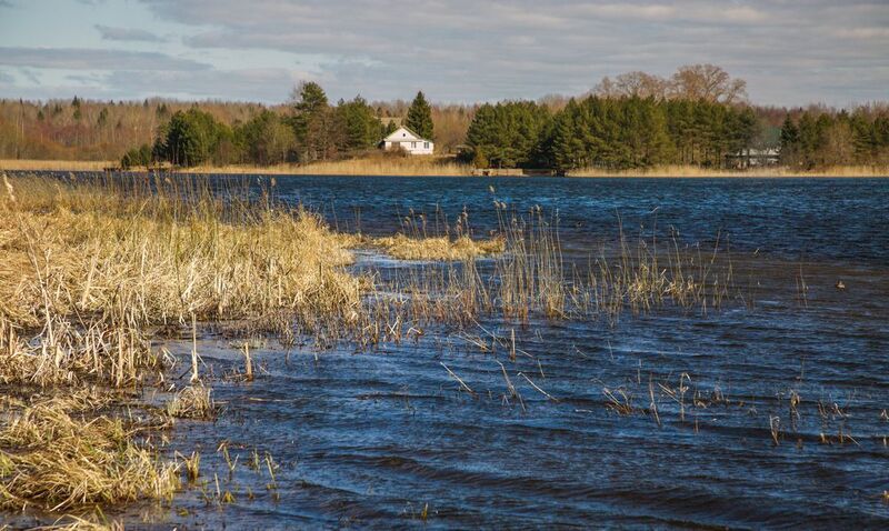 озеро, пейзаж, облака, отражение, утро, весна Днем на озере фото превью