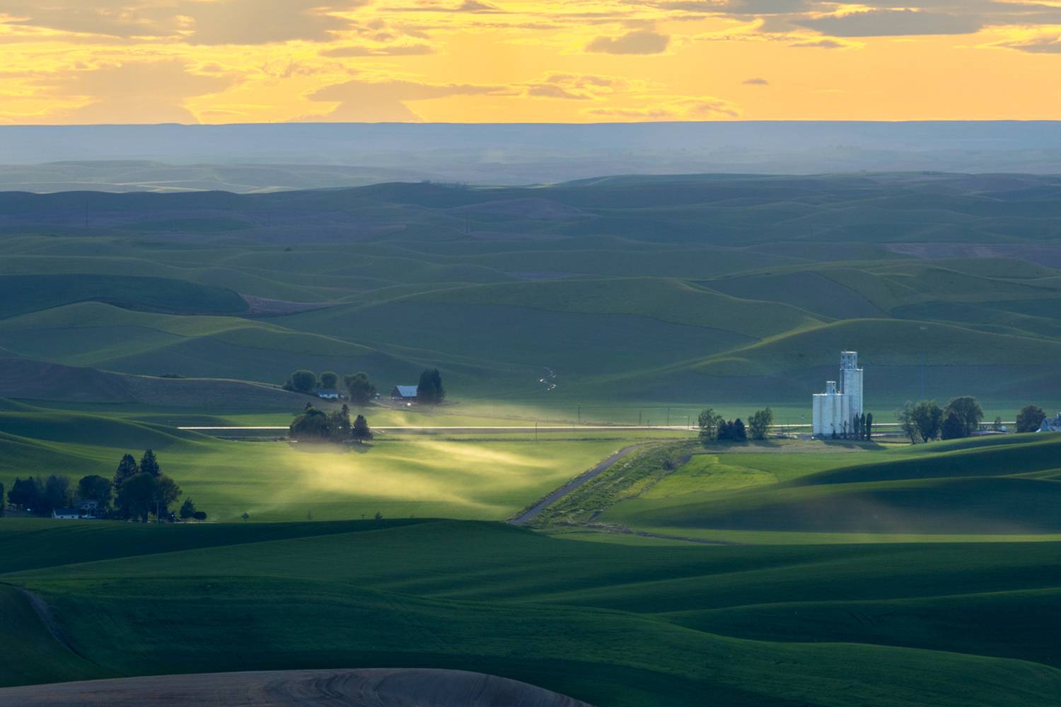 , Лозицкий Александр