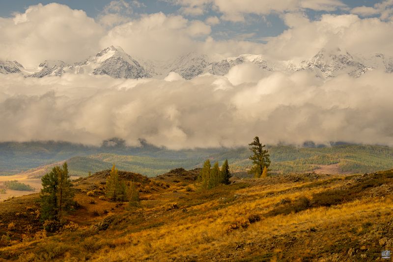 алтай Прекрасное далекоphoto preview