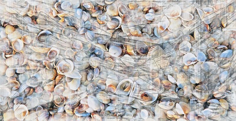 ракушки, волна, лето, море, абстракция, минимализм Дыхание летаphoto preview