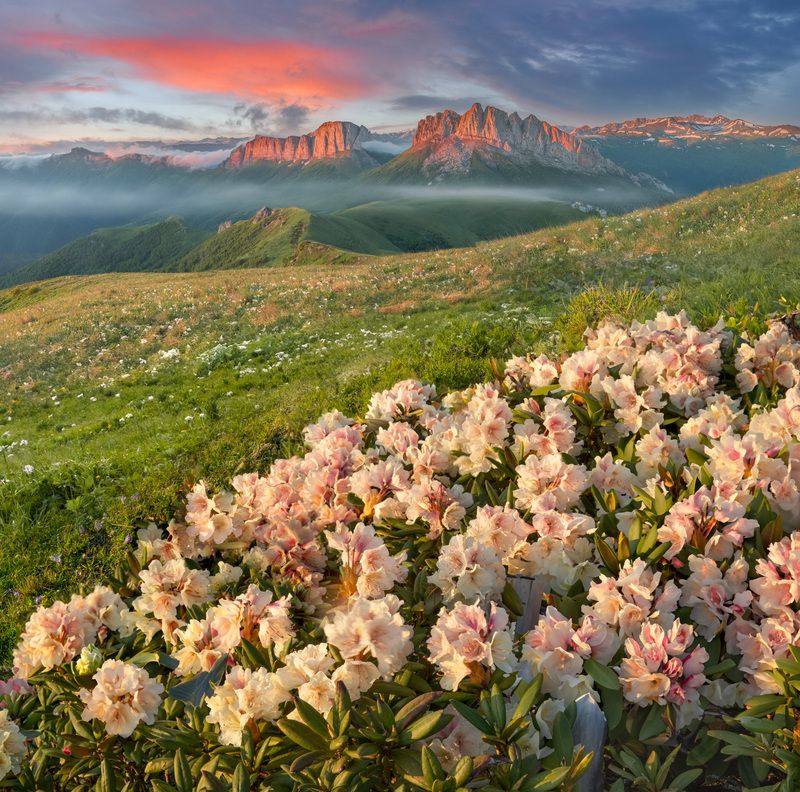 Фототуры с Владимиром Рябковым, #topnature #russpasibo #magic_shots #lovelyRussia #sunset_vision #exclusive_sky  #exclusive_shots #loves_russia2 #photoarena_nature #nature_sultans #nature_perfection #rsa_sky #rsa_sunset #photorussia #rsa_naturepics #sunse Ачешбоки. фото превью