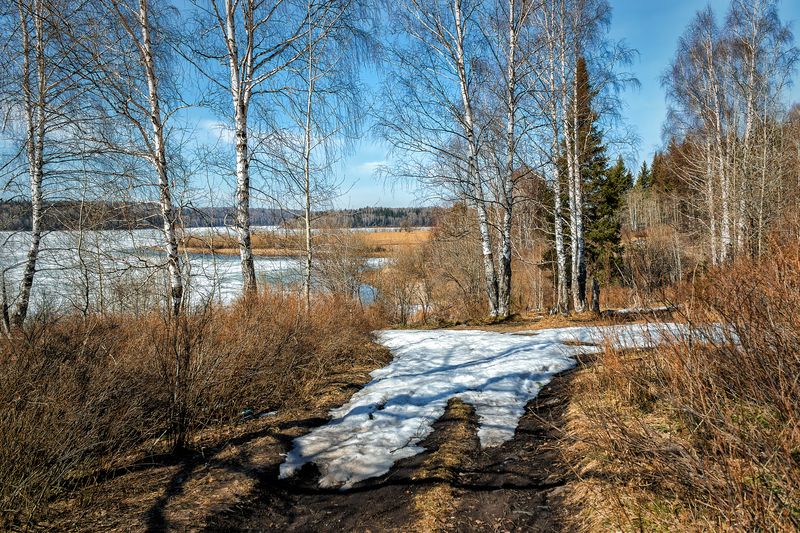 Весна в Сибири. photo preview