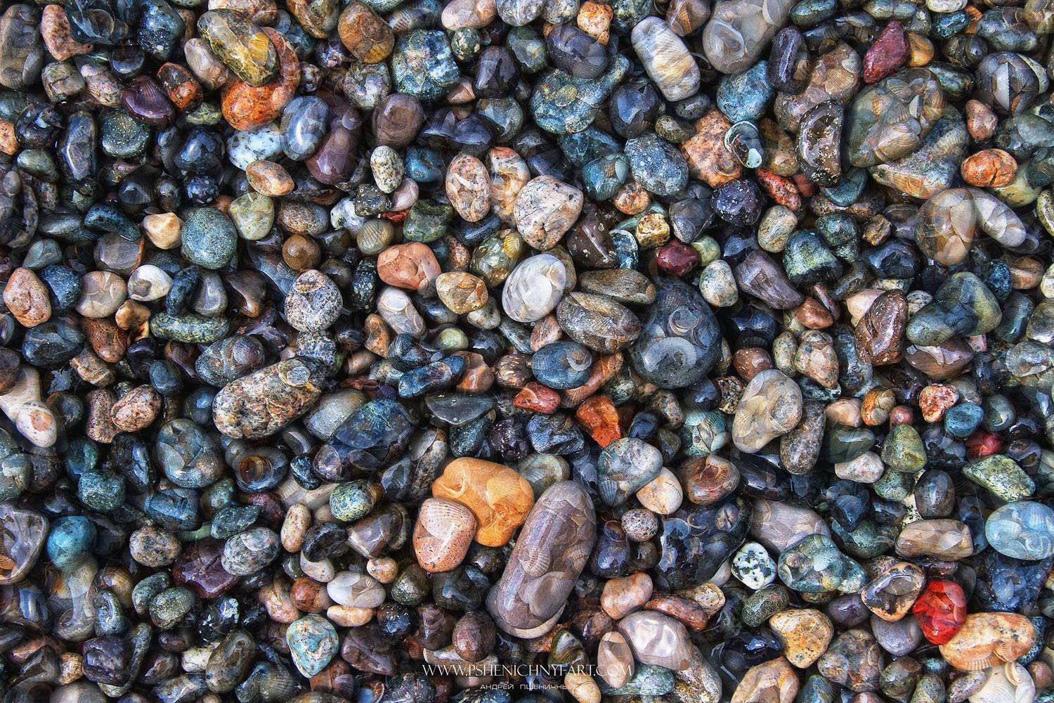 камни, побережье, ракушки, лето, море, абстракция, минимализм, Пшеничный Андрей