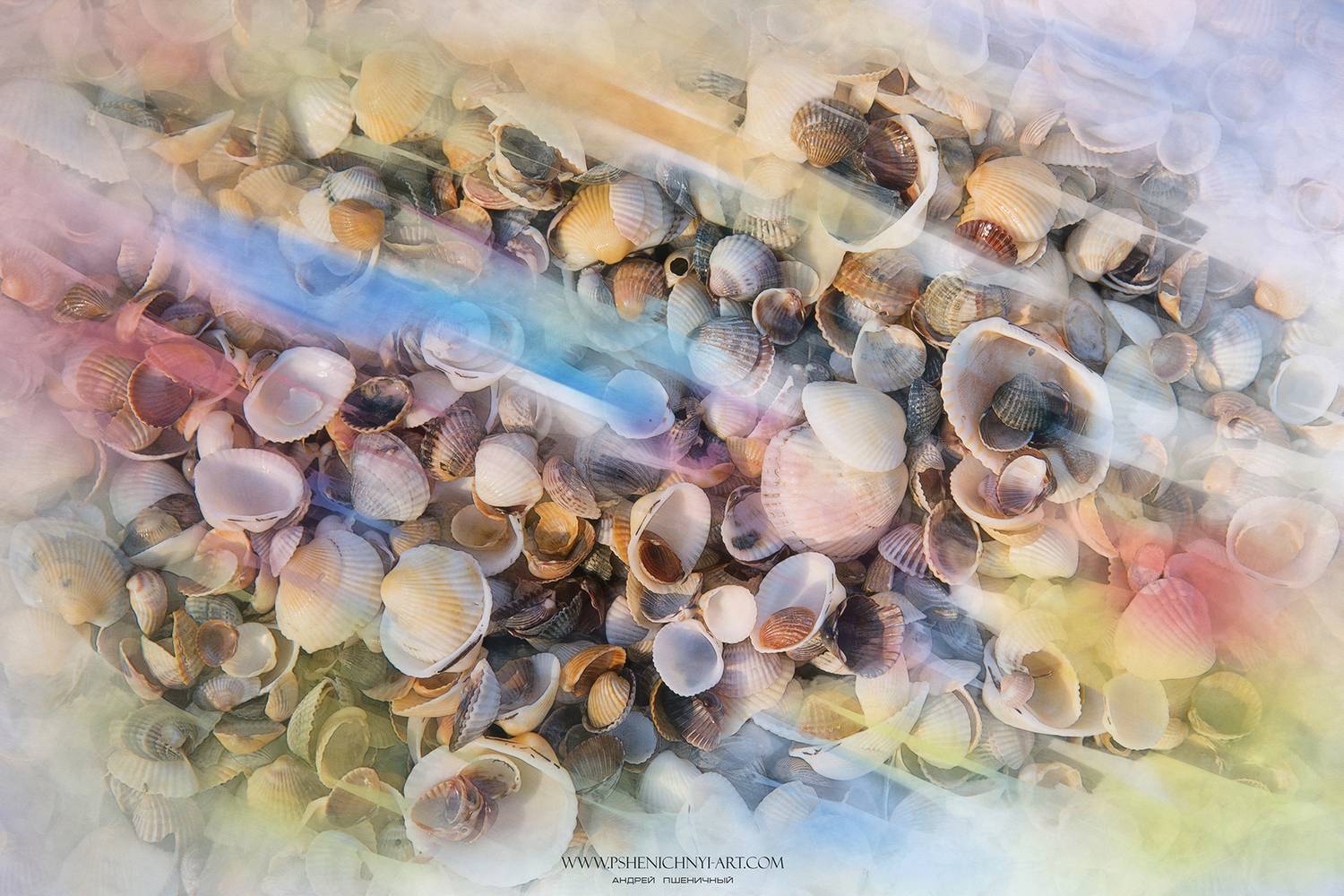 ракушки, лето, море, акварель, абстракция,минимализм, Пшеничный Андрей