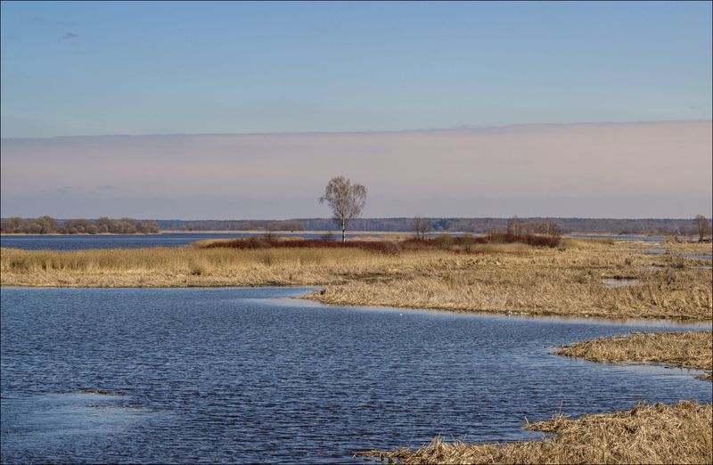 Придорожное, или удивительное рядом.photo preview