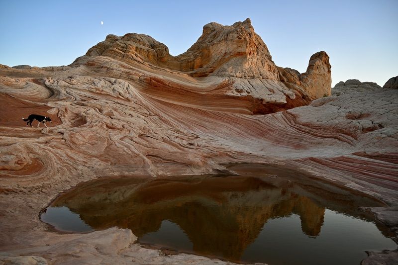 Landscape, USA, Arizona, White Pocket, Travel, Colorful Rocks, Patterns, Dog,  Когда на небе взошла луна...photo preview