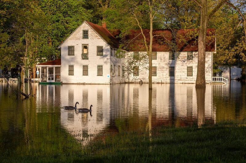 After Strong Rainphoto preview