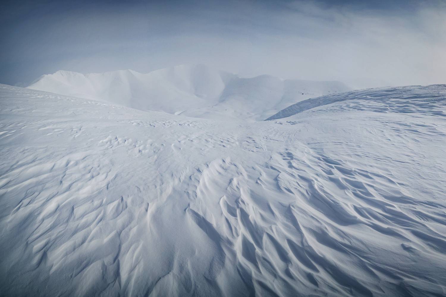 , Ян Сурогин